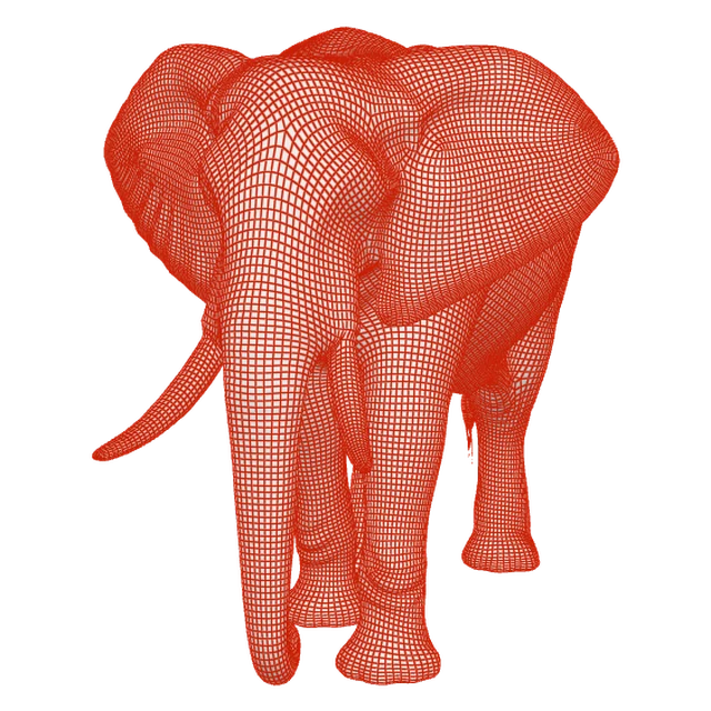 Topologia en wireframe de Elefant
